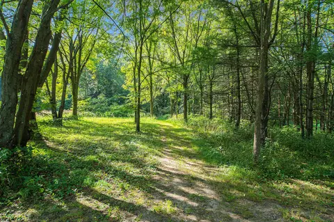 Other - 12664 Hoffman Rd, Three Rivers, MI 49093 photo 7 of 7