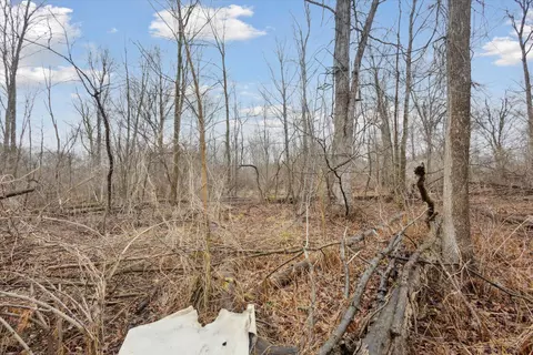 View/Area - 4035 Olmstead Rd, Ionia, MI 48846 photo 2 of 13