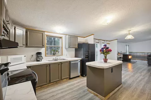 Kitchen - 4035 Olmstead Rd, Ionia, MI 48846 photo 3 of 5