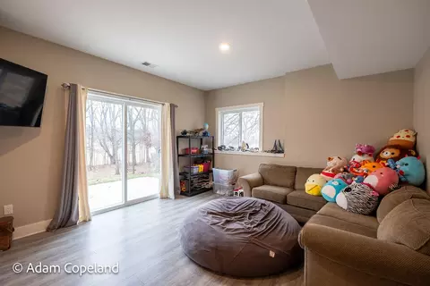 Living - 11709 Thames Ct, Lowell, MI 49331 photo 5 of 6