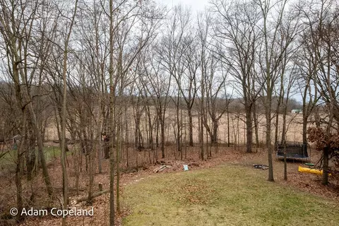 View/Area - 11709 Thames Ct, Lowell, MI 49331 photo 1 of 3