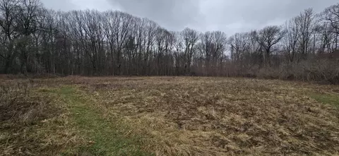 Gates Rd Road, Riverdale, MI 48877