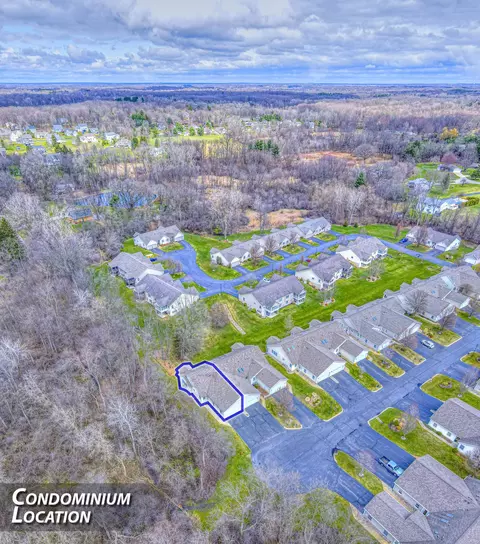 View/Area - 7051 Gilroy Ct, Spring Arbor, MI 49283 photo 1 of 2