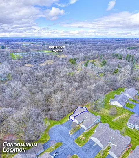 View/Area - 7051 Gilroy Ct, Spring Arbor, MI 49283 photo 2 of 2