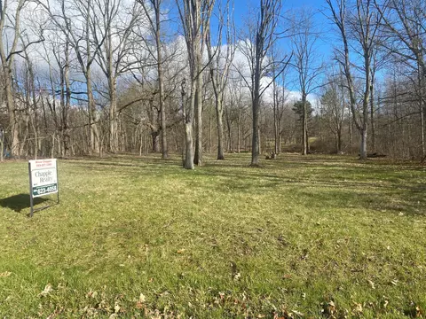 V/l Cordes Road, Delton, MI 49046