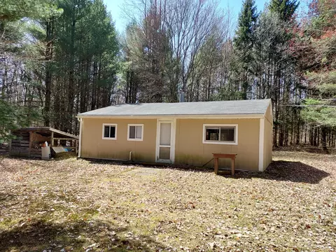 10534 100th Ave, Evart, MI 49631