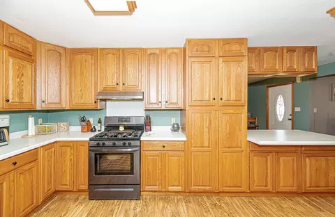 Kitchen - 308 Buchanan St, Bronson, MI 49028 photo 4 of 6