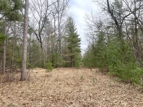 Vl Maple Rd, Manistee, MI 49660 photo 6