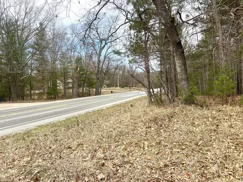 Vl Maple Rd, Manistee, MI 49660 photo 8