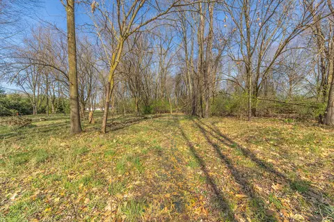 Youngs Prairie Road, Constantine, MI 49042 photo 4