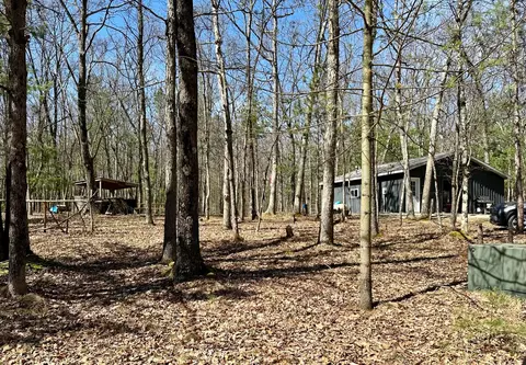 1049 W Homestead Ln, White Cloud, MI 49349