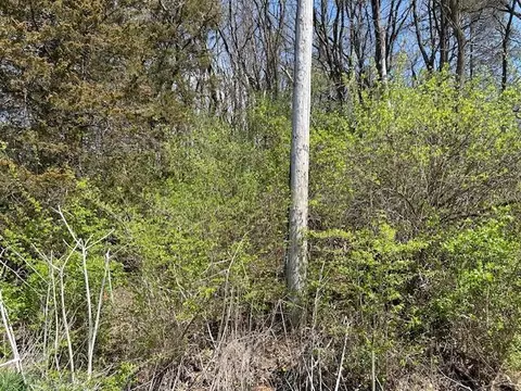 11915 Waldron Rd, Jerome, MI 49249 photo 3