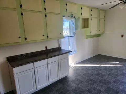412 2nd Ave, Big Rapids, MI 49307 photo 13