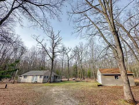4547 W Hofer Rd, Irons, MI 49644