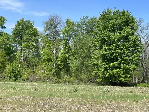 4514 22 Mile Rd NE #PARCEL 1, Sand Lake, MI 49343