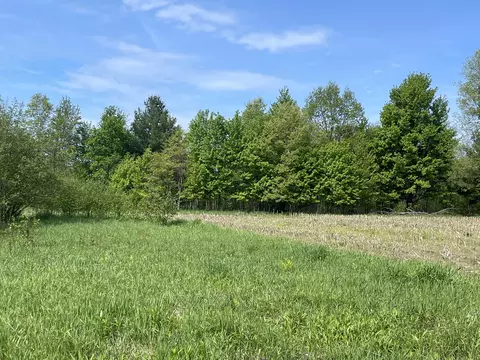 4520 22 Mile Rd NE #PARCEL 2, Sand Lake, MI 49343