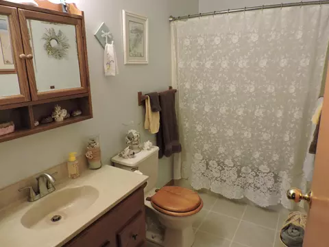 Bath - 1383 E 98th St, Grant, MI 49327 photo 5 of 5