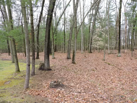 View/Area - 1383 E 98th St, Grant, MI 49327 photo 3 of 4