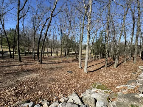 View/Area - 5564 E 68th St, Newaygo, MI 49337 photo 2 of 13