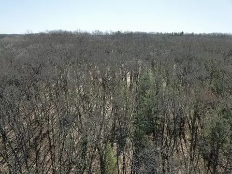 Exterior - 5564 E 68th St, Newaygo, MI 49337 photo 21 of 23