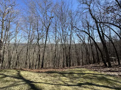 View/Area - 5564 E 68th St, Newaygo, MI 49337 photo 4 of 13