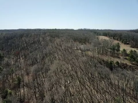 View/Area - 5564 E 68th St, Newaygo, MI 49337 photo 6 of 13