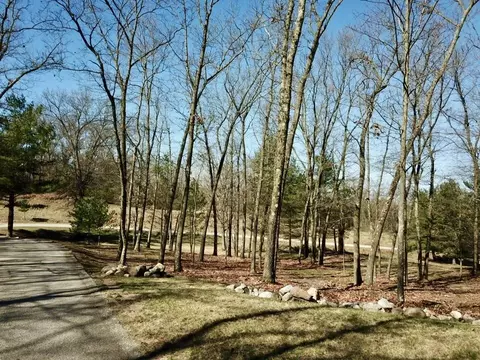 View/Area - 5564 E 68th St, Newaygo, MI 49337 photo 12 of 13