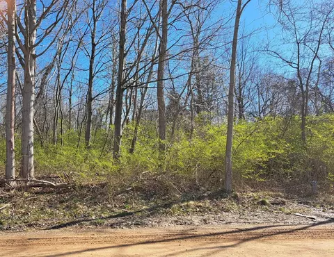 lot S 63-65 Pacific Ave, South Haven, MI 49090