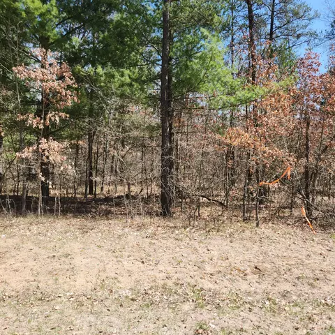 H-4 Spruce Road S, Idlewild, MI 49642 photo 3