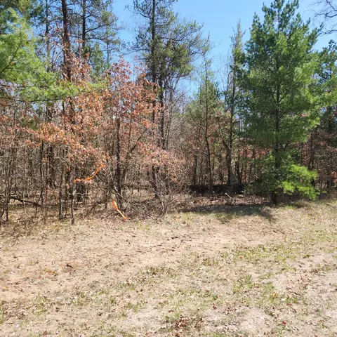 H-4 Spruce Road S, Idlewild, MI 49642 photo 5