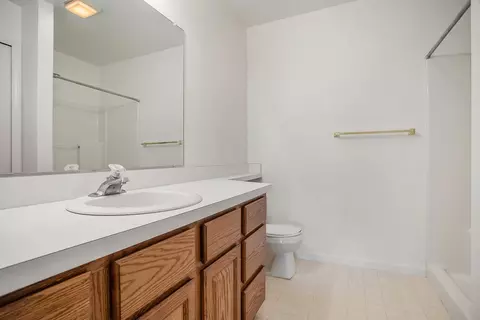 230 Chauncey Ct, Marshall, MI 49068 photo 14