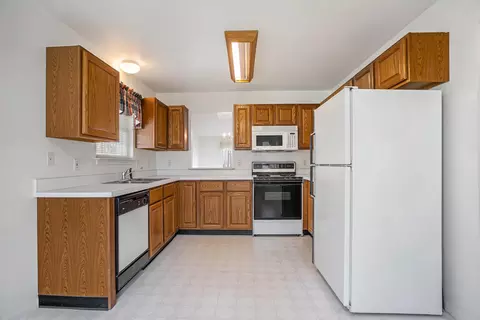 230 Chauncey Ct, Marshall, MI 49068 photo 9