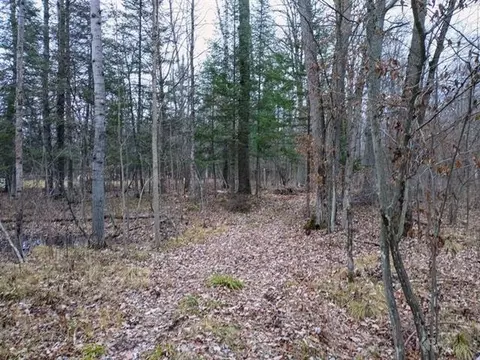 9 Acres Andys Ln, Beaverton, MI 48612