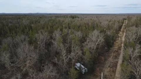 W 12 Mile Road, Wellston, MI 49689