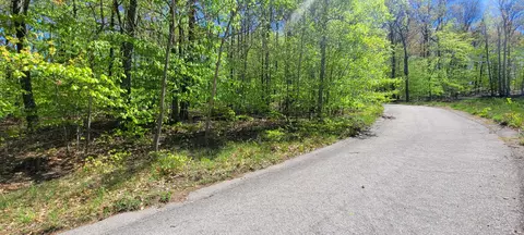 0 Silver Vista Ln #9, Mears, MI 49436