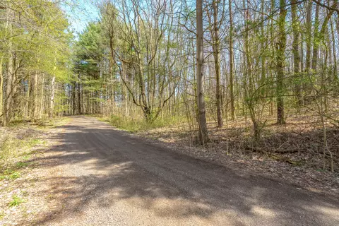 Vl N Pineayr Drive, Climax, MI 49034