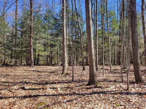 0 W Lakewood Rd, Whitehall, MI 49461