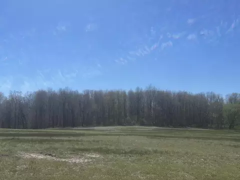 V/l 133rd Parcel B Avenue, Wayland, MI 49348