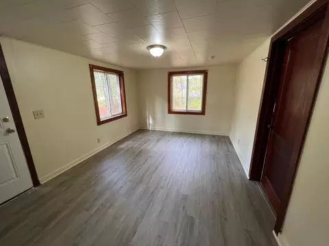 460 Lynn St, Baldwin, MI 49304 photo 7