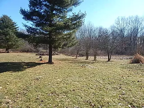 Exterior - 2251 Glasgow Rd, Jackson, MI 49201 photo 8 of 11