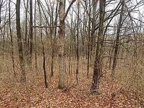 View/Area - 2251 Glasgow Rd, Jackson, MI 49201 photo 2 of 9