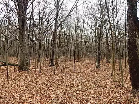 View/Area - 2251 Glasgow Rd, Jackson, MI 49201 photo 3 of 9