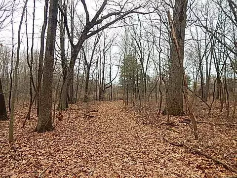 View/Area - 2251 Glasgow Rd, Jackson, MI 49201 photo 8 of 9