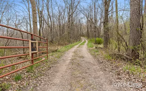 View/Area - 1449 E Kinney Rd, Custer, MI 49405 photo 2 of 15
