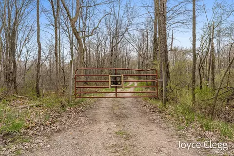 View/Area - 1449 E Kinney Rd, Custer, MI 49405 photo 1 of 15