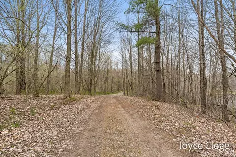 View/Area - 1449 E Kinney Rd, Custer, MI 49405 photo 3 of 15