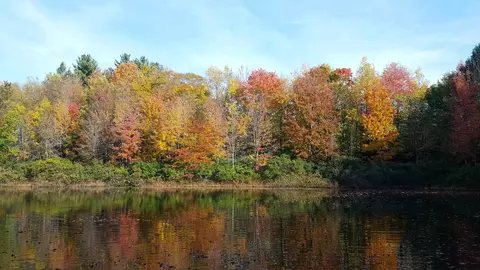 View/Area - 1449 E Kinney Rd, Custer, MI 49405 photo 8 of 15