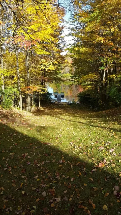 Exterior - 1449 E Kinney Rd, Custer, MI 49405 photo 11 of 11