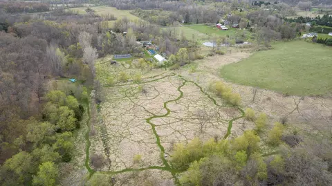 View/Area - 9593 Kennedy Rd, Munith, MI 49259 photo 6 of 10