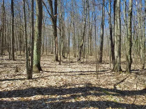 Hardwood, Evart, MI 49631